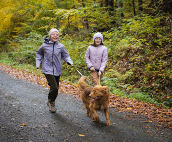 Šimonka na šupu - 3.ročník