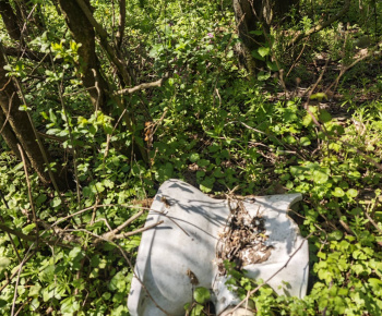 Čistý revír = čistá príroda 